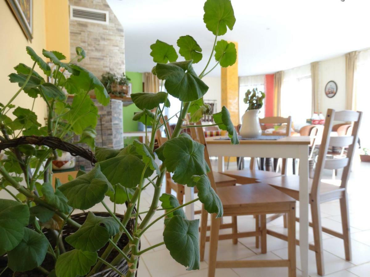 Petrevene Guest House Misha מראה חיצוני תמונה